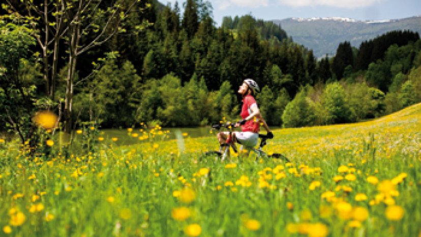 Steiermark Tourismus Foto: www.ikarus.cc