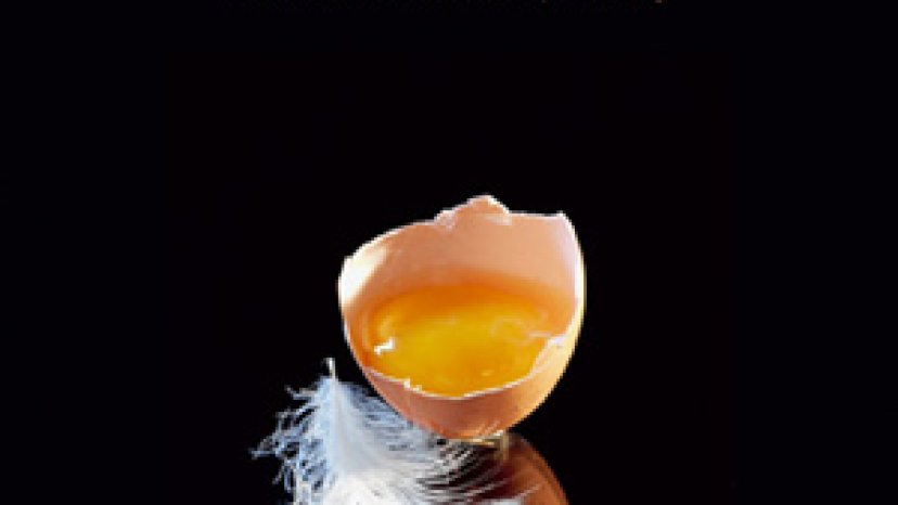 Der kleine Huber 