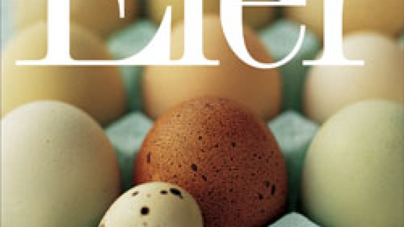 Eier