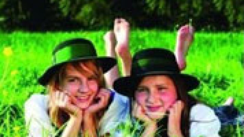 Neue Steiermark Reiseführer
