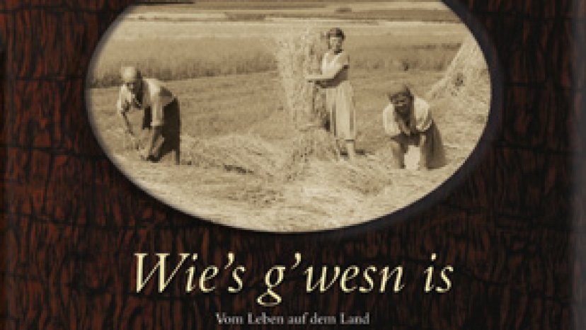 Wies g`wesn is