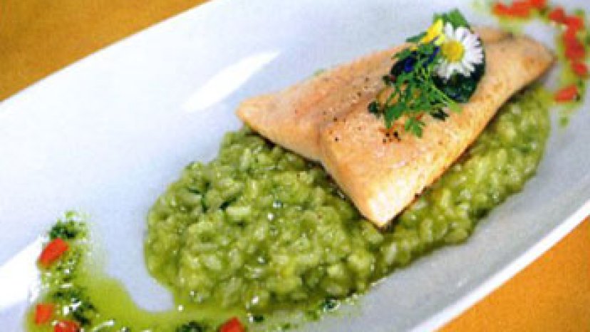 Rezept - Mariazeller Wildsaiblingsfilet