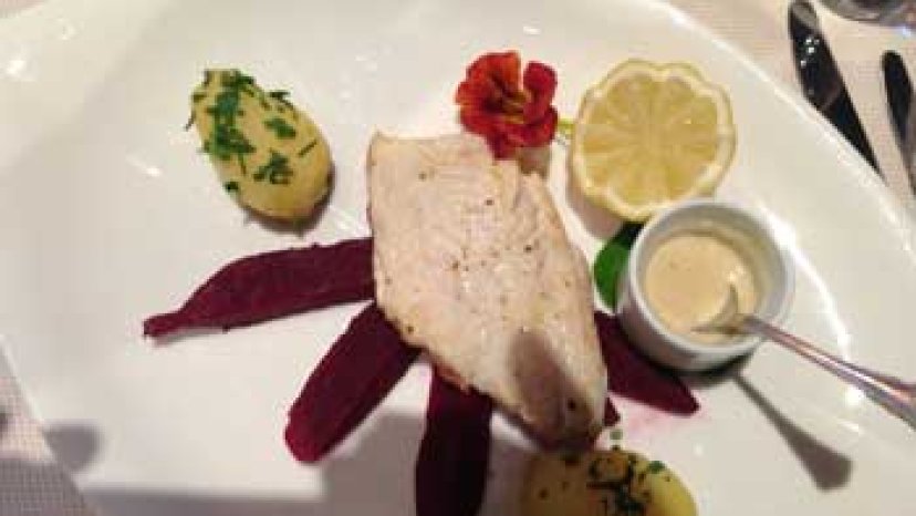 Welsfilet 